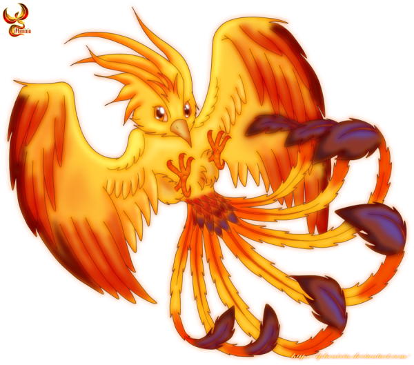 Феникс цветной