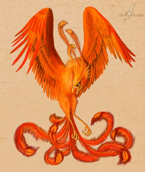 Как нарисовать Феникса