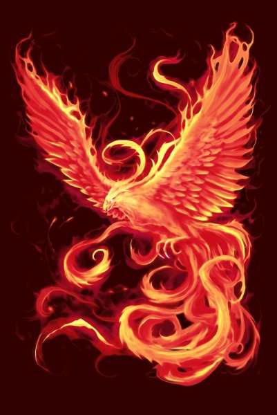 Птица Феникс акварель