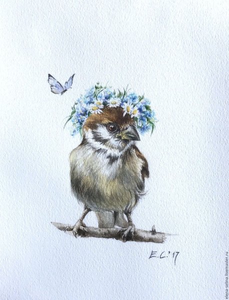 Акварель птицы воробушки