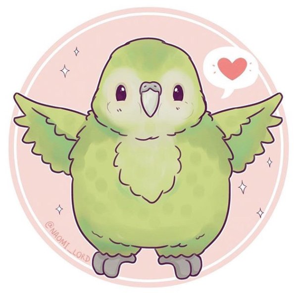 Naomi Lord попугай