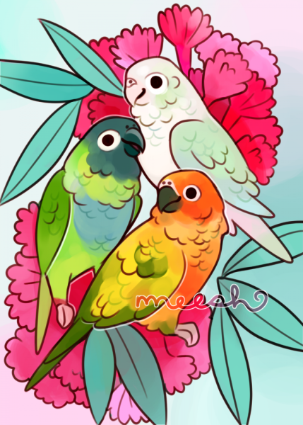 Рисунок попугая для срисовки