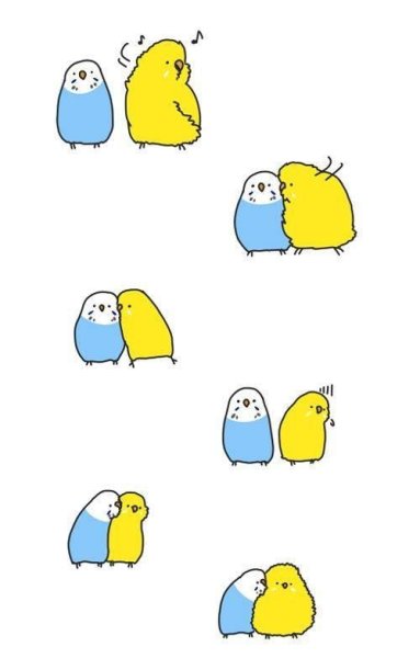 Милые птички для срисовки