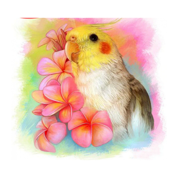 Картина милого попугая