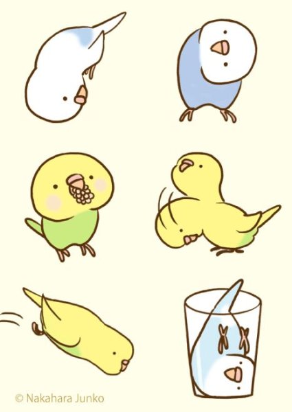Милые попугайчики для срисовки