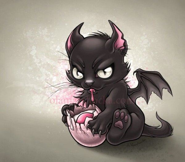 Кошка дьявол