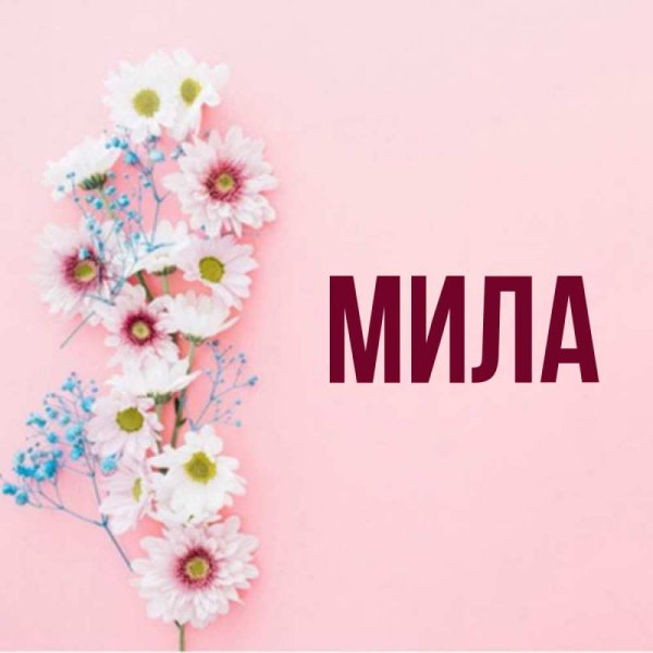 Открытки с именем Мила