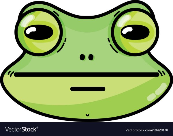 Лицо лягушки