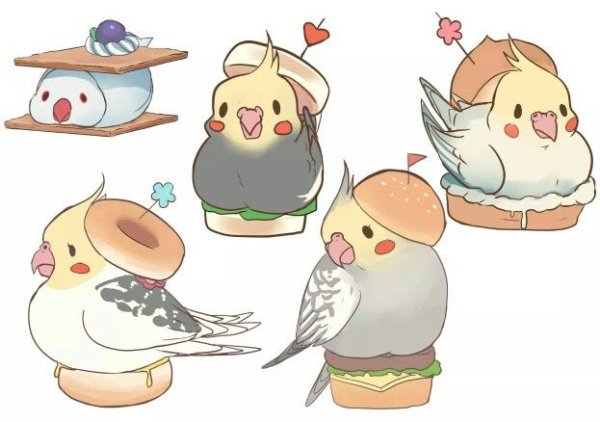 Попугай корелла кавай