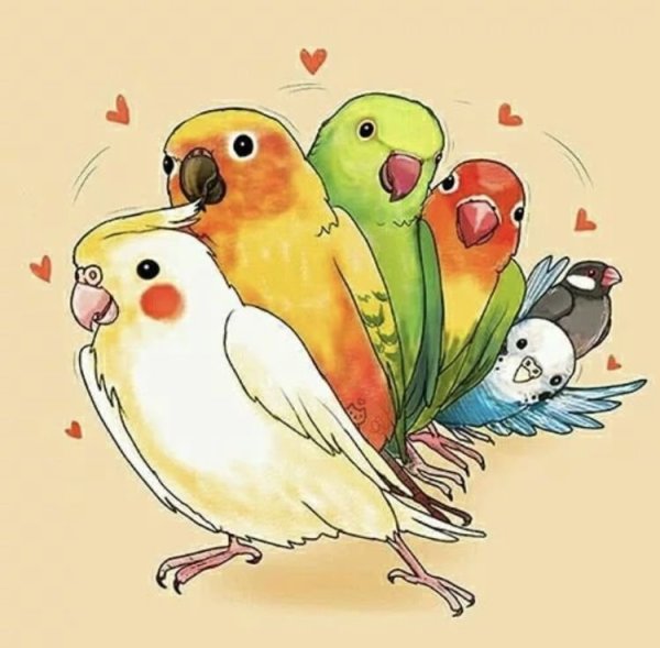 Попугаи мультяшные милые