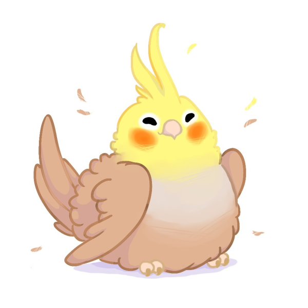 Попугай корелла Чиби