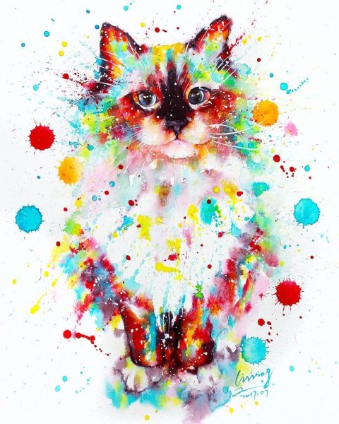 Разноцветный кот