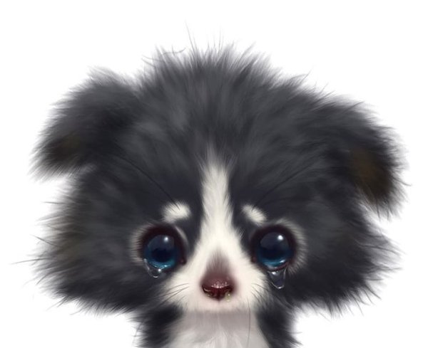 Пушистый зверек рисунок