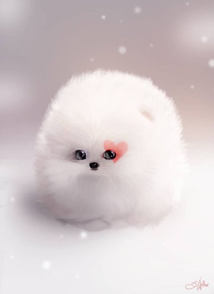 Померанский шпиц белый милый