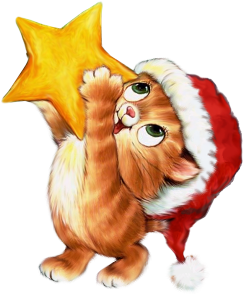 Новогодний котик