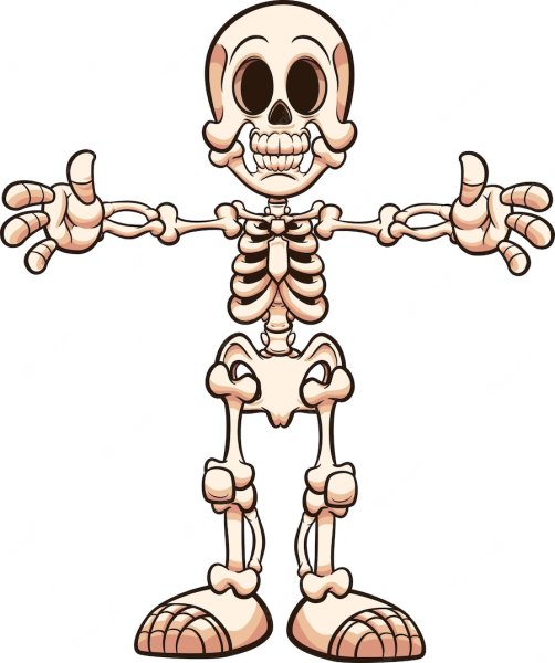 Скелет человека мультяшный