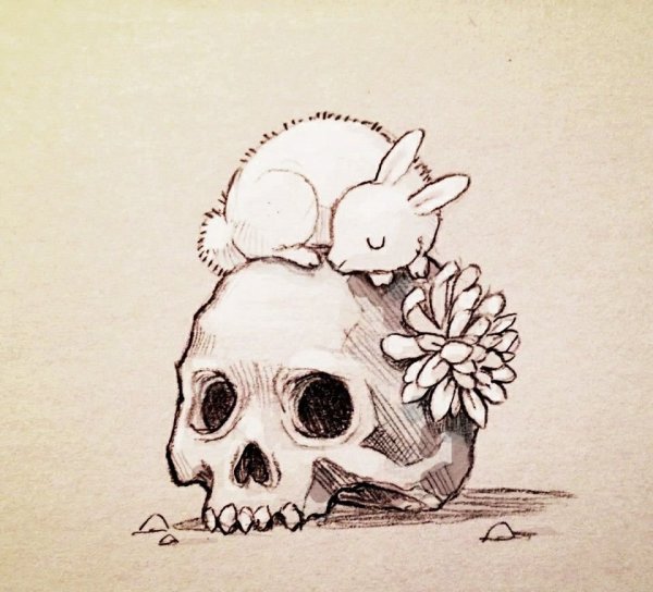 Няшный череп