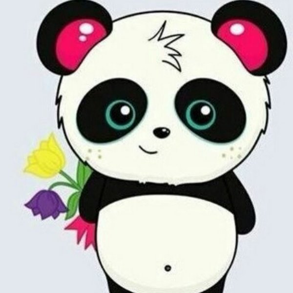 Панды для личного дневника