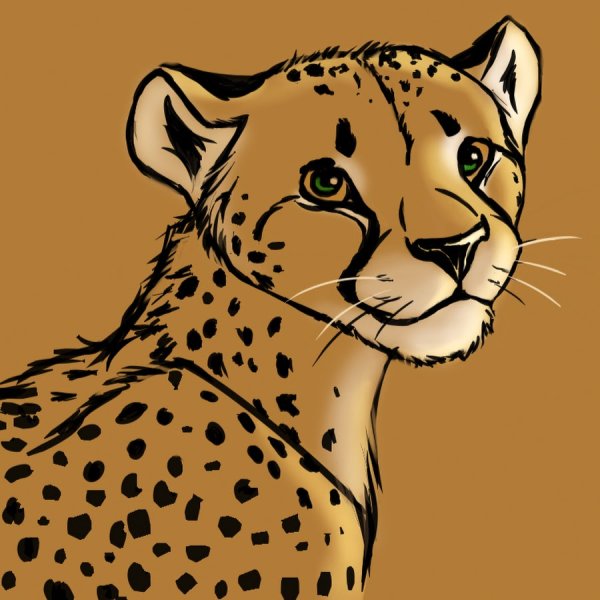 Нарисовать гепарда