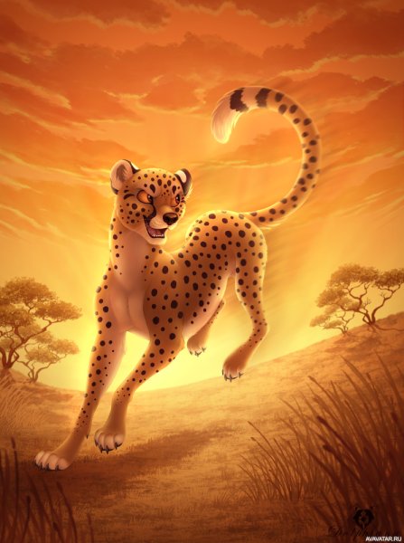 Красивые рисунки животных