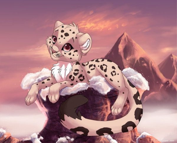 Гепард и снежный Барс