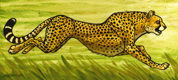 Гепард рисунок