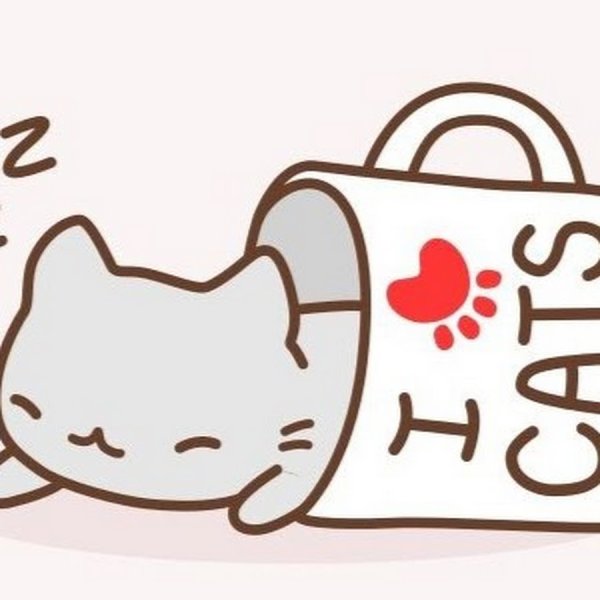 Рисунки для срисовки котики