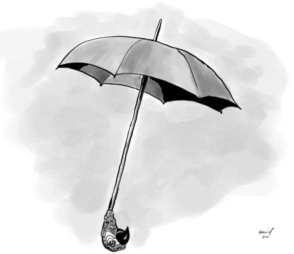 Котик под зонтиком