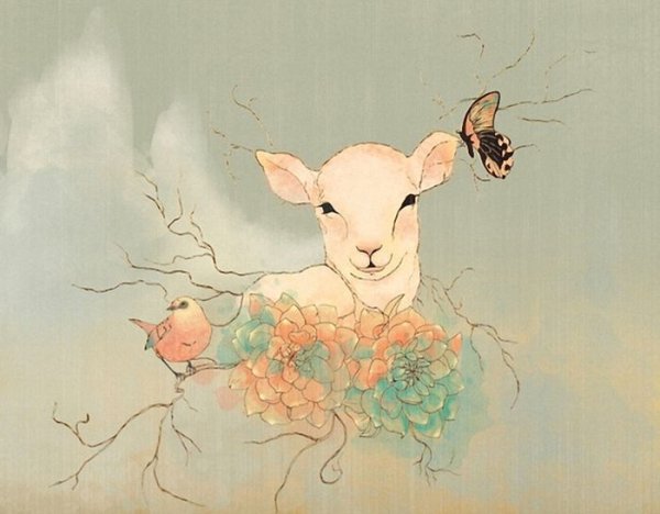 Овечки и бабочки