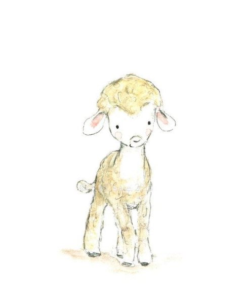 Барашек акварель