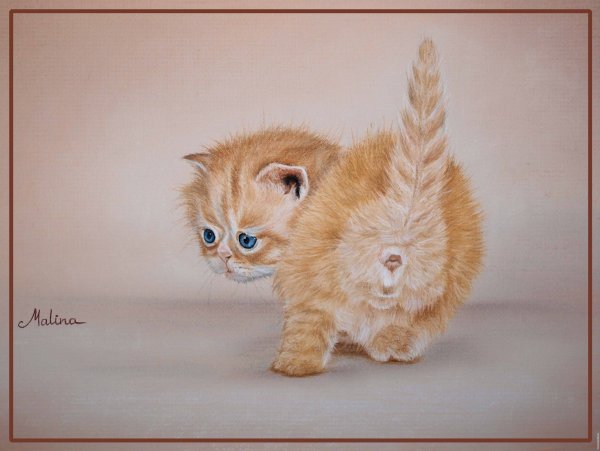 Милые животные пастель