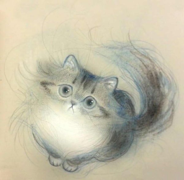 Милые коты карандашом