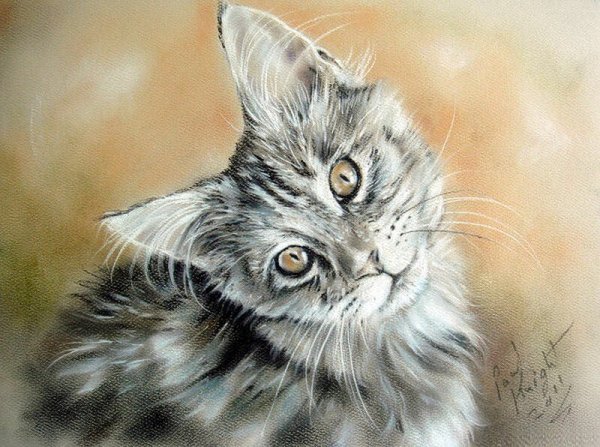 Художник кошки пастелью Paul Knight