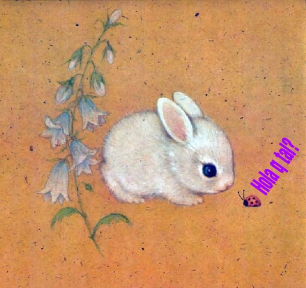 Маленькие иллюстрации животных