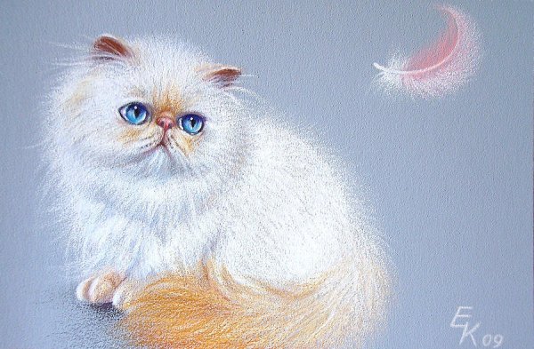 Художник Колотуша Елена (Elena Kolotusha)