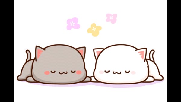 Кавайные котики любовь