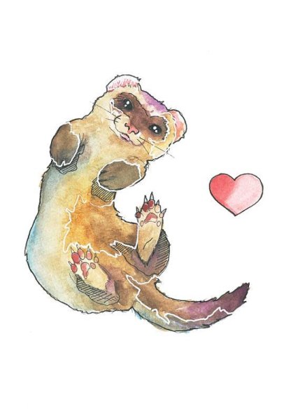 Хорек живопись