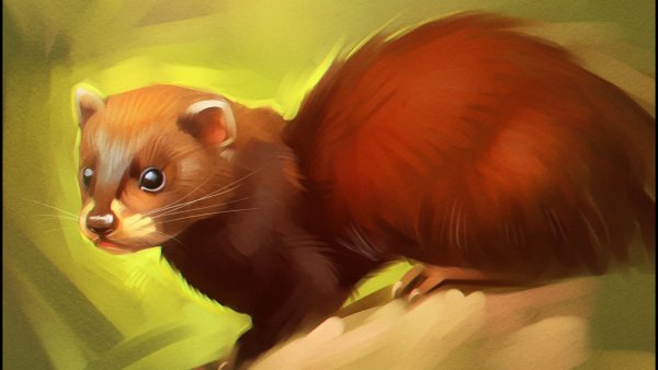 Хорек мультяшный милый