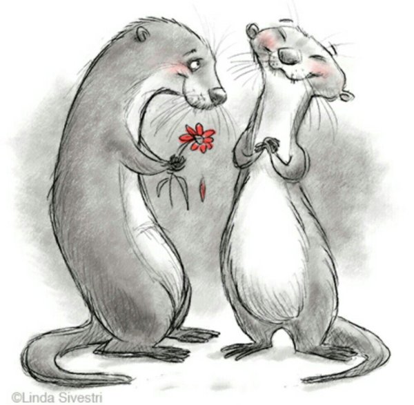 Хорек аниме