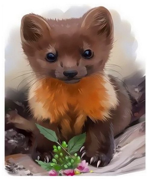 Ласка рисунок карандашом