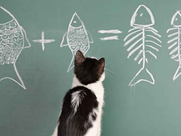 Математика картинки