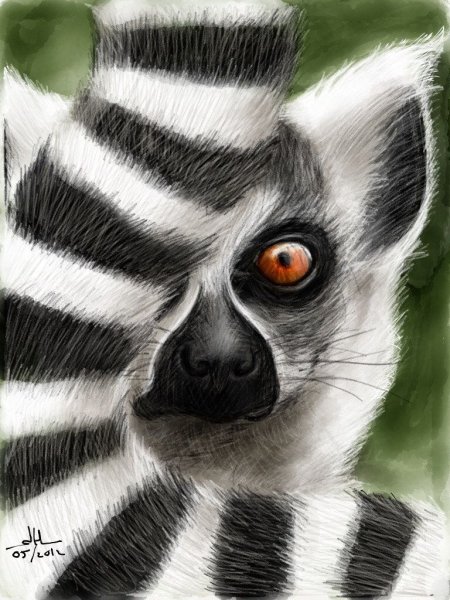 Нарисовать лемура