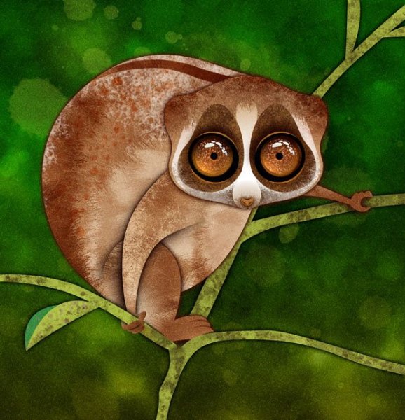 Лемур Лори арт