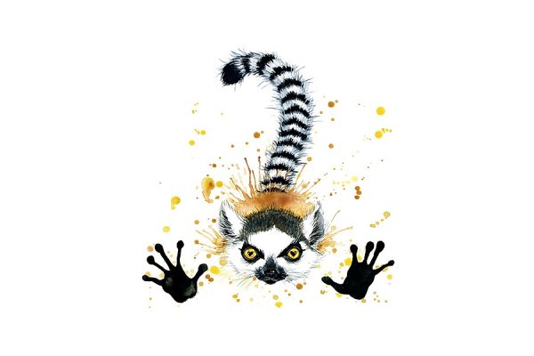 Лемур акварелью рисунок