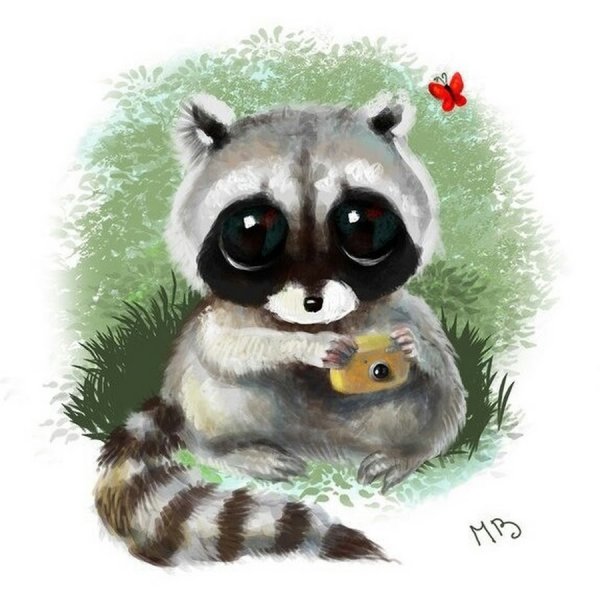 Няшный енот