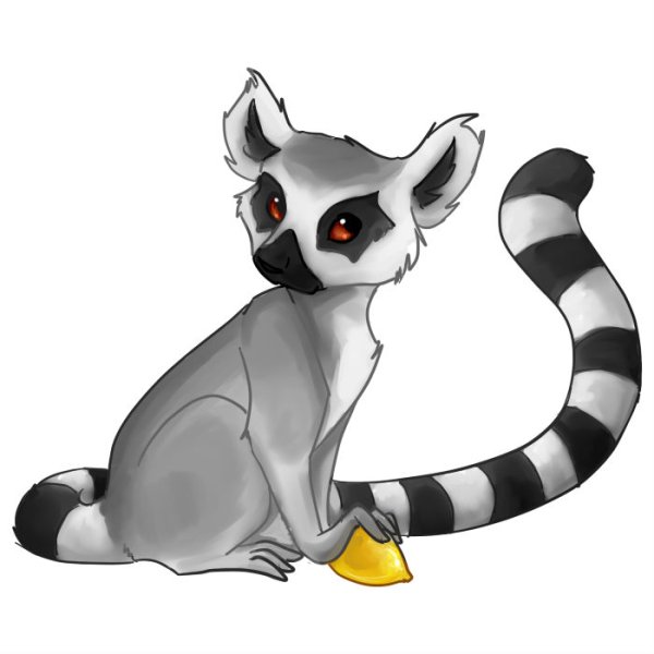 Лемур для детей