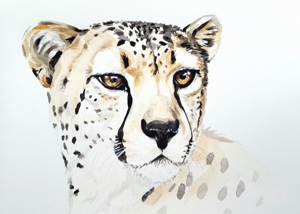 Портреты животных