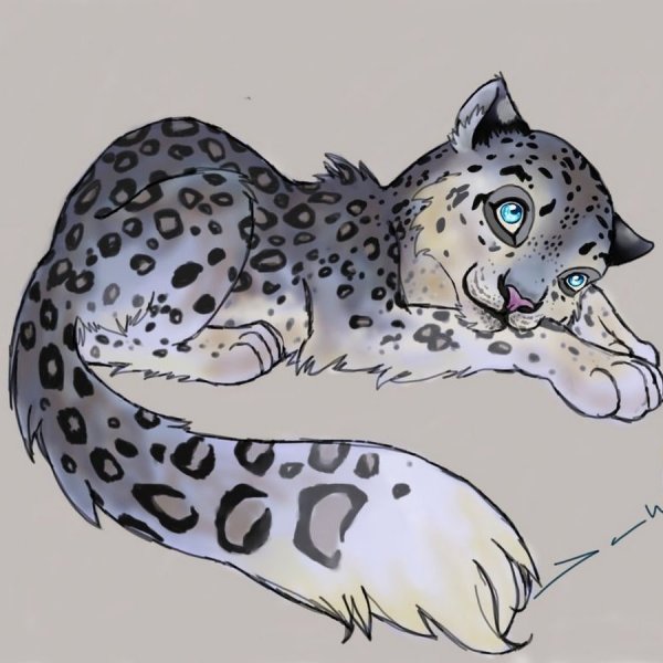 Коты Воители снежный Барс