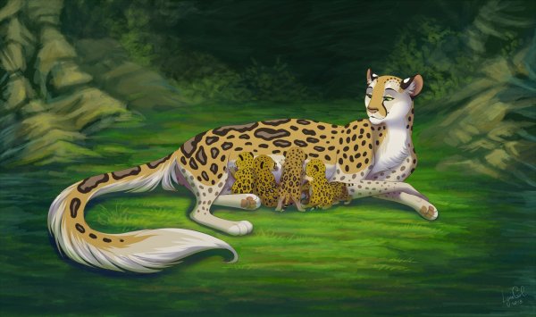 Королевский гепард референс