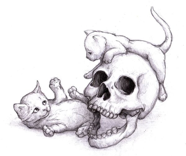 Милые черепа